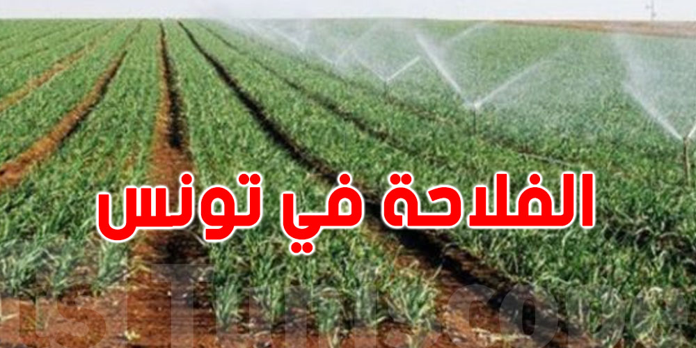 الإتحاد التونسي للفلاحة و الصيد البحري : ''الفلاحة في تونس 90 بالمائة منها سقوية '' 