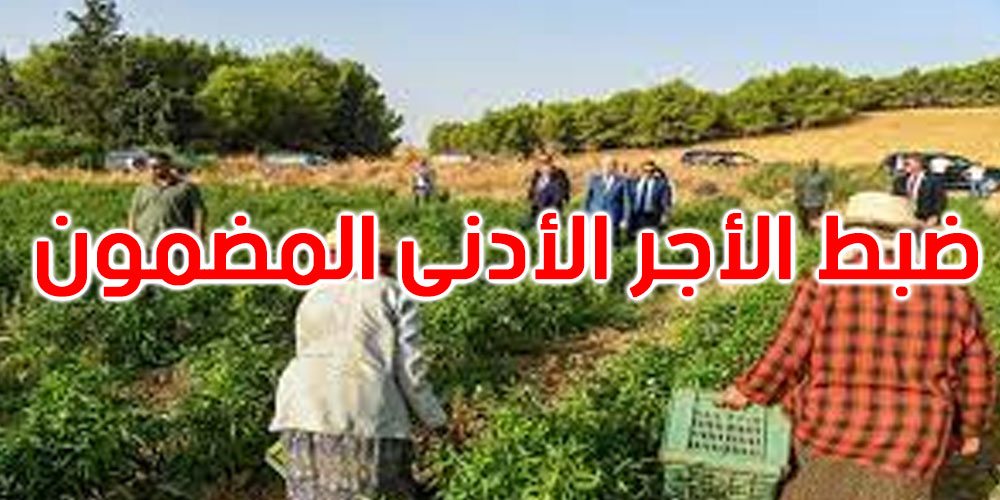 الرائد الرسمي: أمر رئاسي يضبط الأجر الأدنى الفلاحي المضمون بـ664 .17 دينارا في اليوم