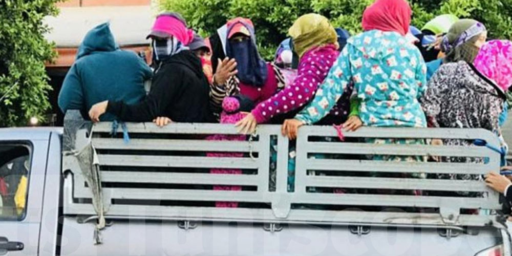 عاجل - مأساة جديدة: وفاة وإصابة 26 ''عاملة فلاحية'' في انقلاب شاحنة في الكاف