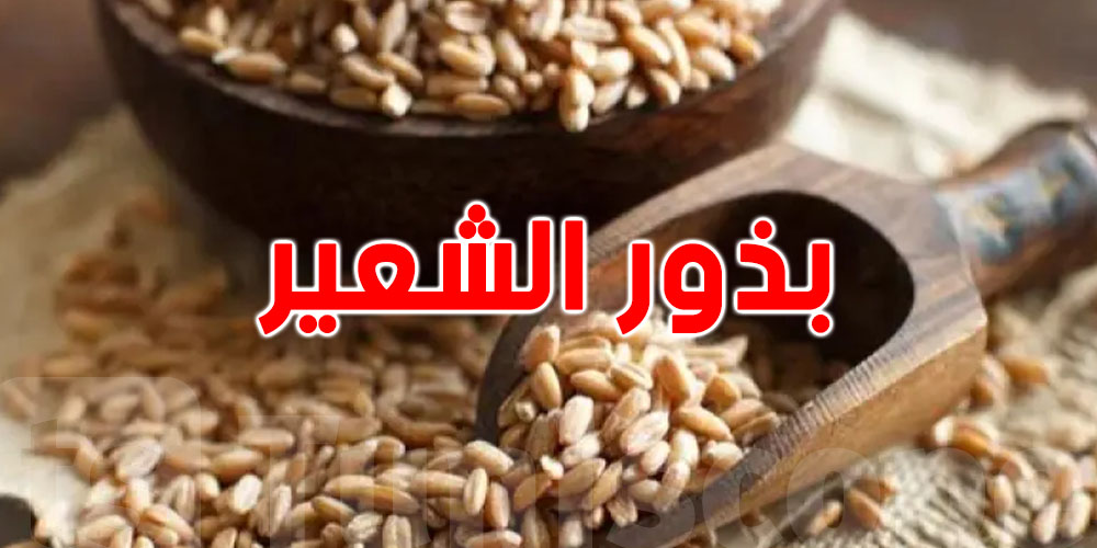 اتحاد الفلاحين يتدخل إثر نفاد مخزون بذور الشعير