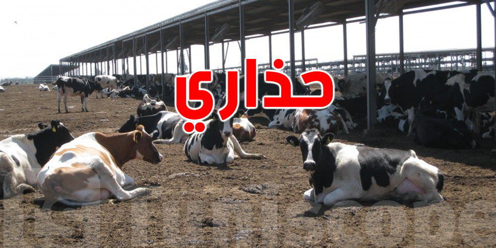عاجل: وزارة الفلاحة تصدر بلاغا..''كيفاش تحمي حيواناتك ومنتوجاتك في السخانة؟''