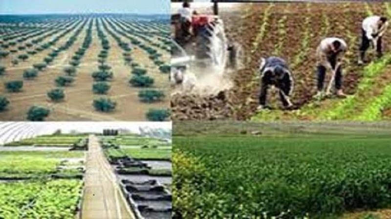 دراسة: تونس من أكثر البلدان استثمارا في القطاع الزراعي والصيد البحري