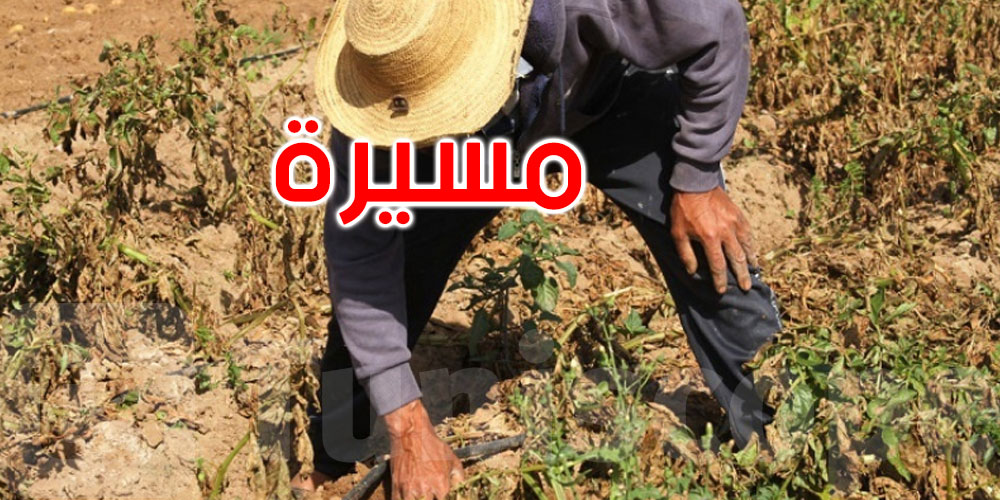 الجامعة العامة للفلاحة تنظم تجمعا عماليا ومسيرة نحو مقر الوزارة