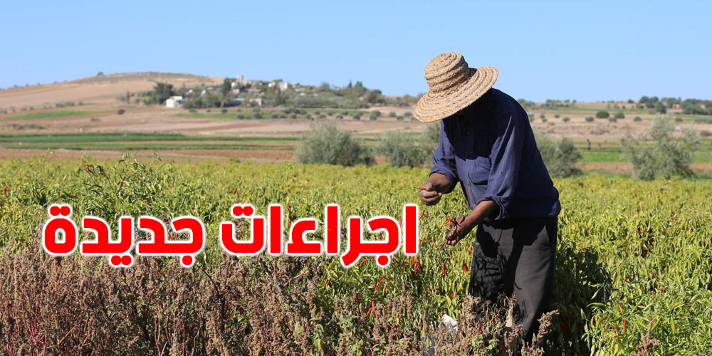 عاجل : خبر سار لفلاحة تونس من البرلمان ...و هذه التفاصيل 