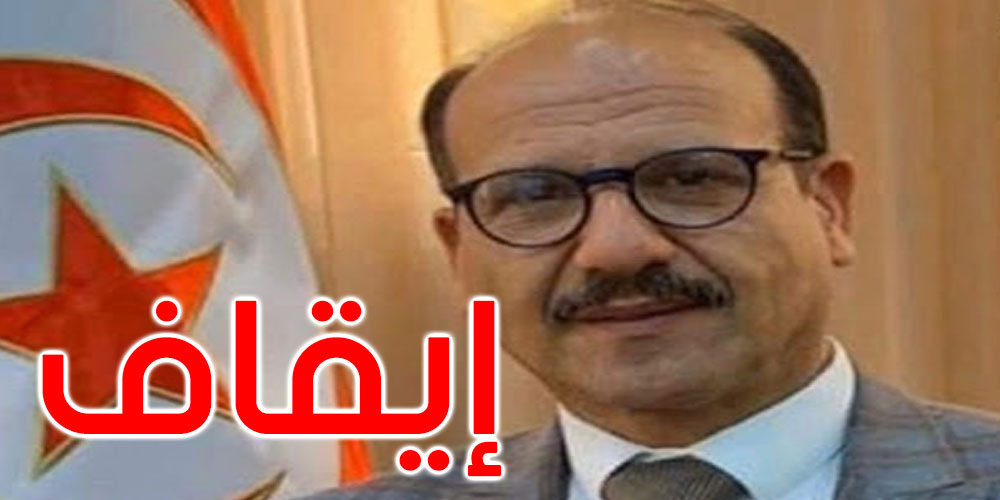 إيقاف النائب عن الدستوري الحر أحمد الصغير