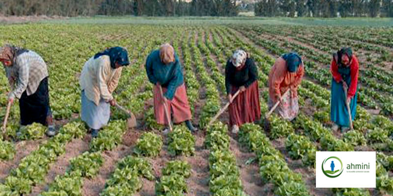 L’affiliation sociale de 2400 femmes rurales bloquée pour cause de bureaucratie