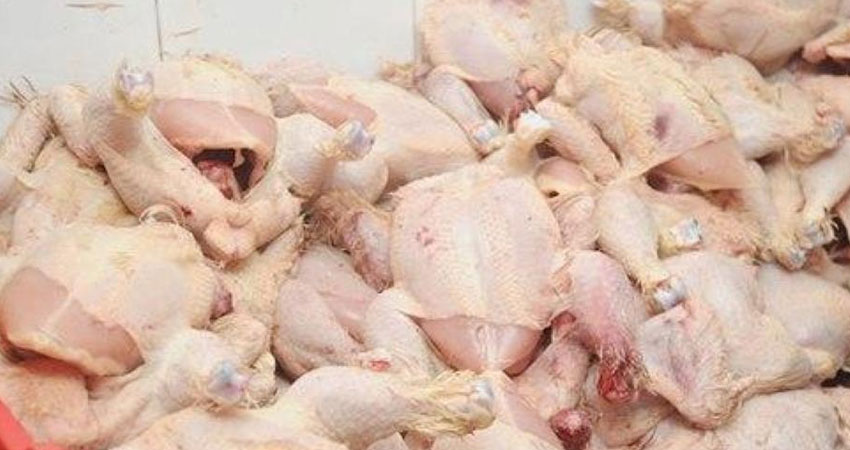اريانة :ضبط مذبح عشوائي للدواجن وحجز كميات من الدجاج الفاسد