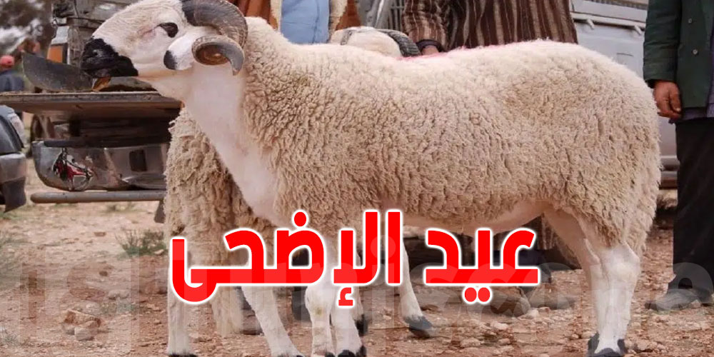 السعودية ومصر تعلنان عن أول أيام عيد الأضحى