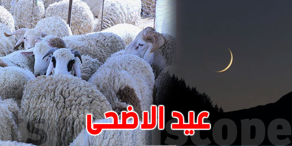 مفتي الجمهورية..عيد الأضحى يوم الثلاثاء 20 جويلية