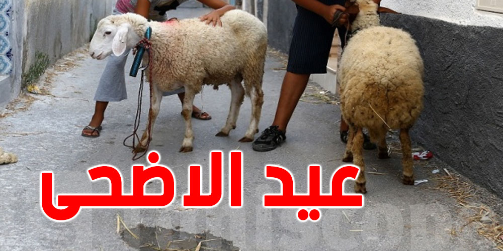  دول تعلن عيد الأضحى السبت 9 جويلية.. وأخرى 10 جويلية