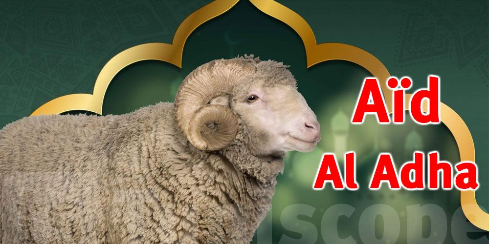Aïd al-Adha 2026 : quelles mesures pour garantir les ovins et protéger le porte-monnaie des Tunisiens ?