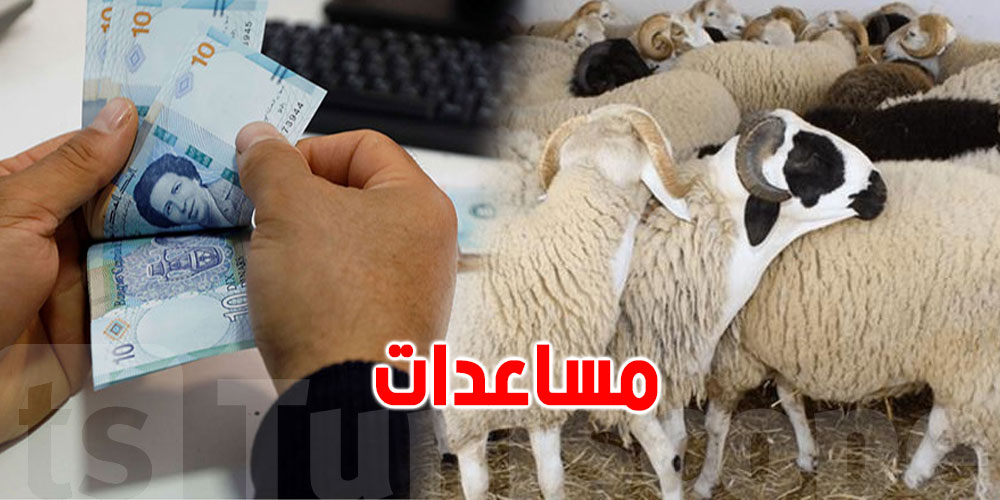 بمناسبة عيد الأضحى، مساعدات مالية وأضحية لفائدة هؤلاء