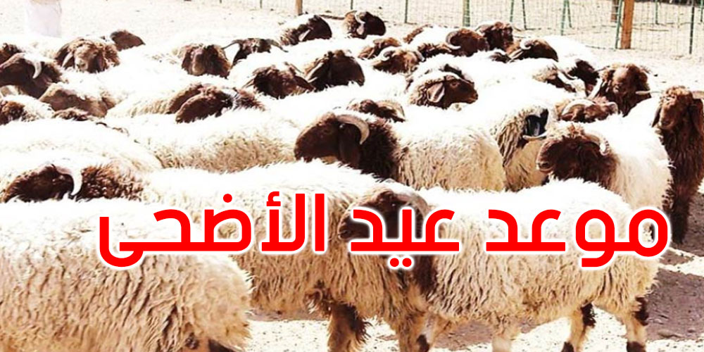 عاجل: مفتي الجمهورية يعلن موعد عيد الأضحى