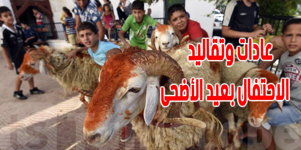 من الحناء إلى تكحيل عيون الخروف أو خطفه...عادات غريبة في عيد الاضحى