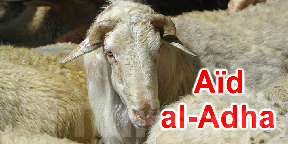 Tunisie : Pourquoi les prix des moutons de l’Aïd s’envolent cette année ?