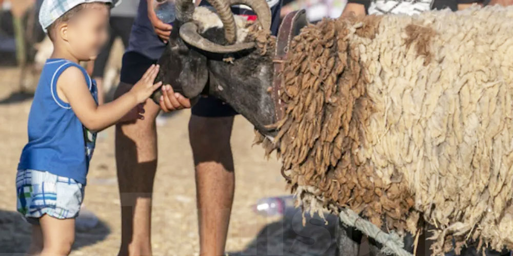 Météo de l'Aïd : les températures pourraient dépasser les 35 degrés en Tunisie