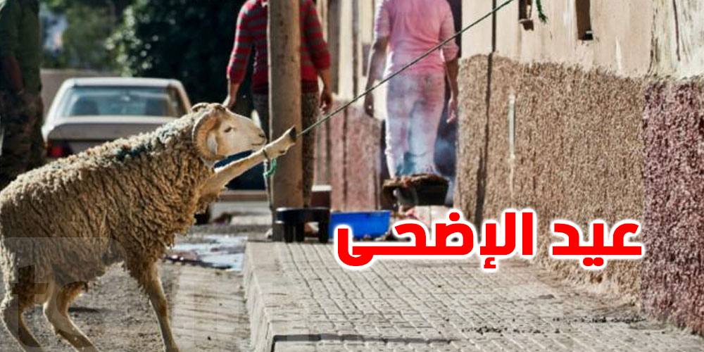 تونس : فلكيا عيد الأضحى يوم ...