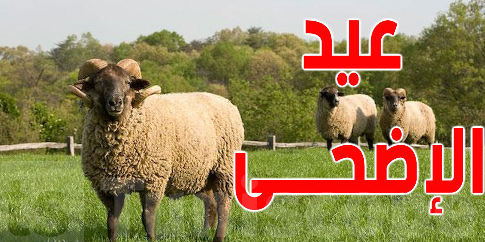 عاجل: مفتي الجمهورية يُعلن موعد عيد الإضحى