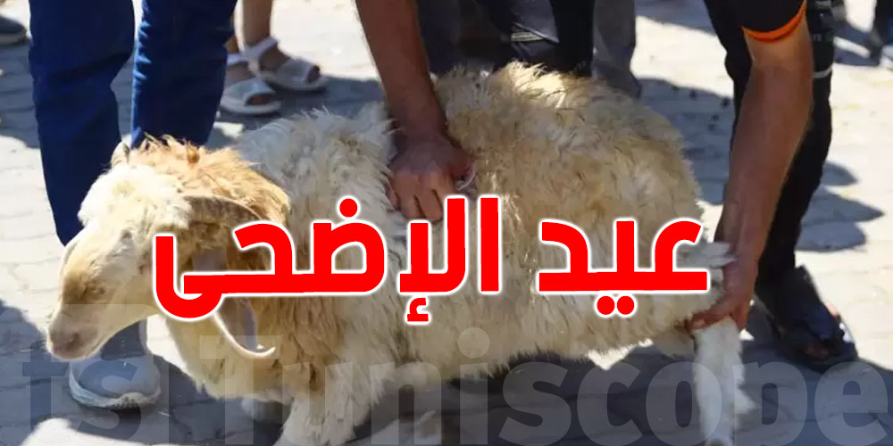 علامات تدل على سلامة الأضاحي واللحوم