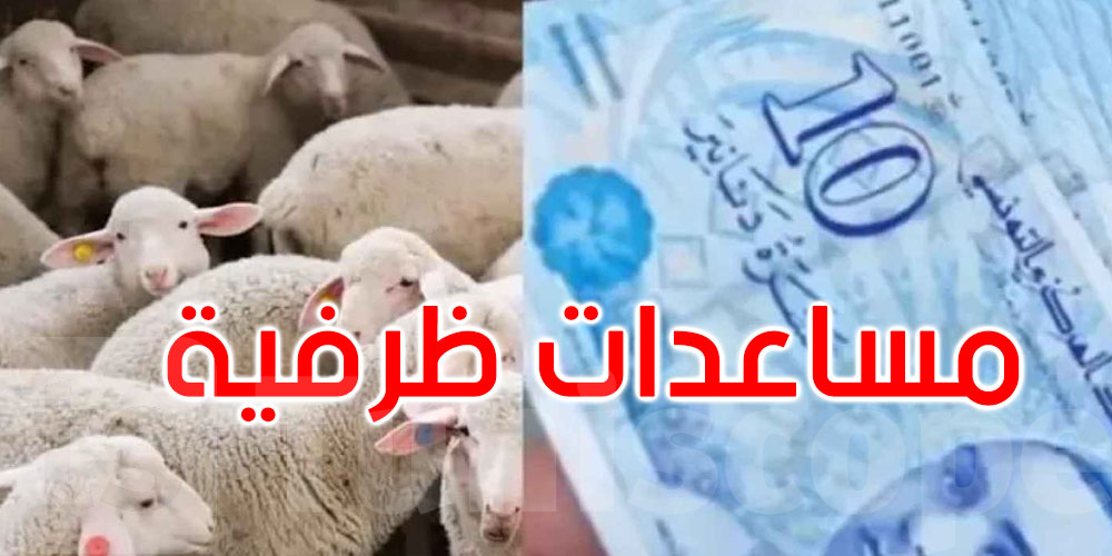 اليوم: صرف مساعدات ظرفية بمناسبة عيد الأضحى