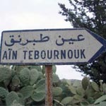 Grombalia : Opération de ratissage à Djebal Aïn Tebournouk