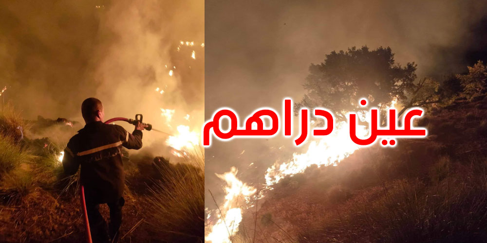 جندوبة: إخماد حريق نشب بالقرب من معهد خمير بعين دراهم