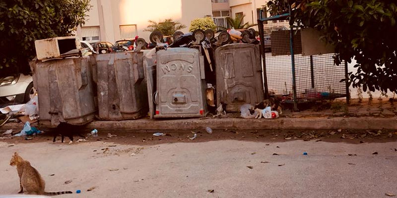 En photos : Un dépôt d’ordures en plein Ain Zaghouan