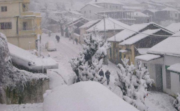 Les Tunisiens affluent à Ain Draham pour le spectacle de la neige