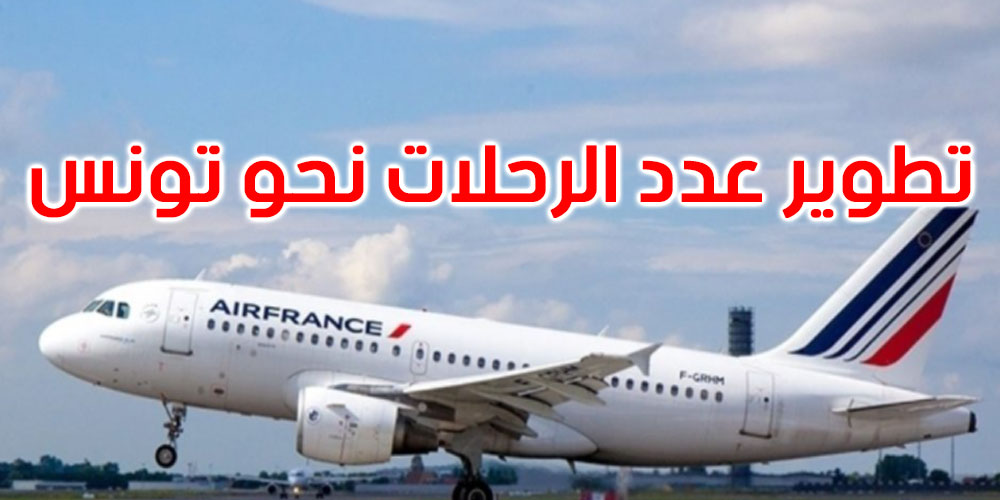 تطوير الرحلات الجوية نحو تونس محور لقاء وزير السياحة بوفد من الخطوط الفرنسية 