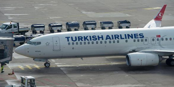 طائر يجبر طائرة ركاب تركية على الهبوط اضطراريا