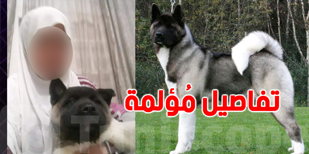 ''أكيتا'' ينهش صاحبته ويُرديها قتيلة: مدرّب الكلب يكشف التفاصيل