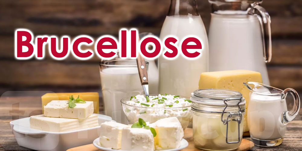 Brucellose dans les produits laitiers en Tunisie : Une étude met en garde