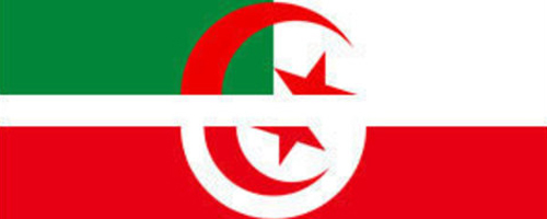 algerie-04042013-1.jpg