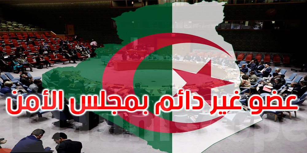 من بينها الجزائر: الجمعية العامة للأمم المتحدة تنتخب 5 أعضاء جدد غير دائمين بمجلس الأمن