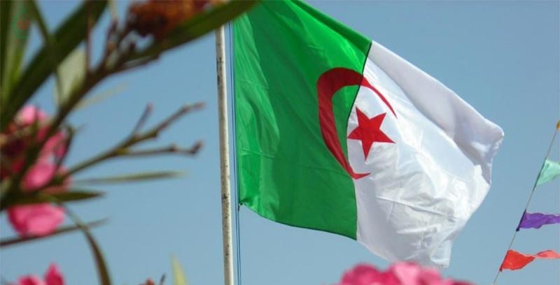 قائد الأركان الجزائري: أفشلنا مؤامرة لتدمير البلاد