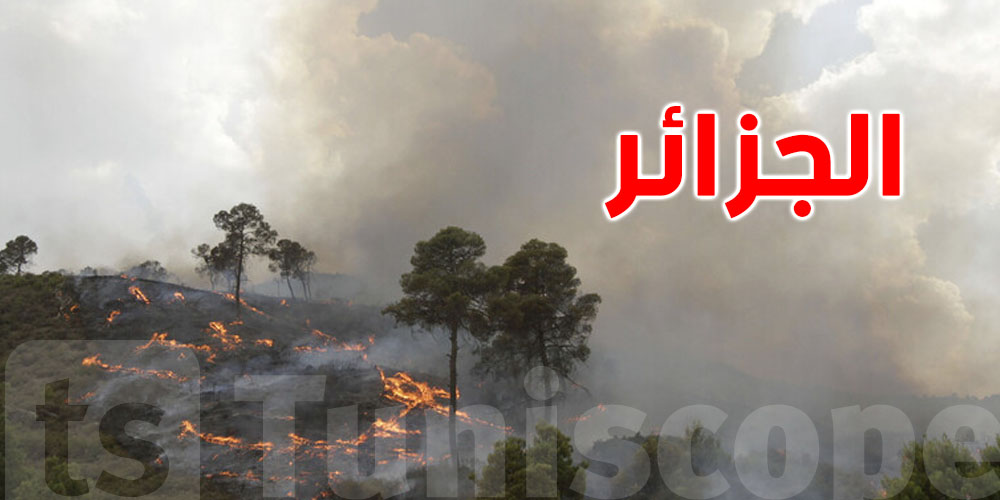 حرائق الجزائر: ارتفاع عدد الضحايا