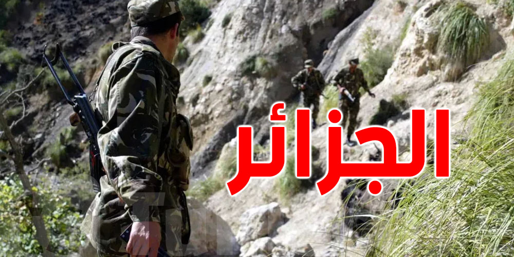 الجزائر: القضاء على 4 إرهابيين وحجز أسلحة