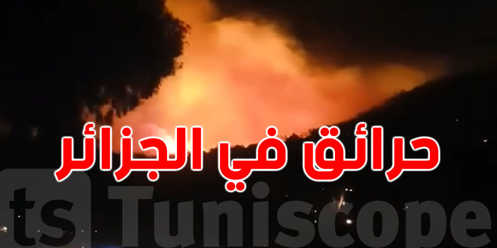 الجزائر: 22 حريق في يوم واحد