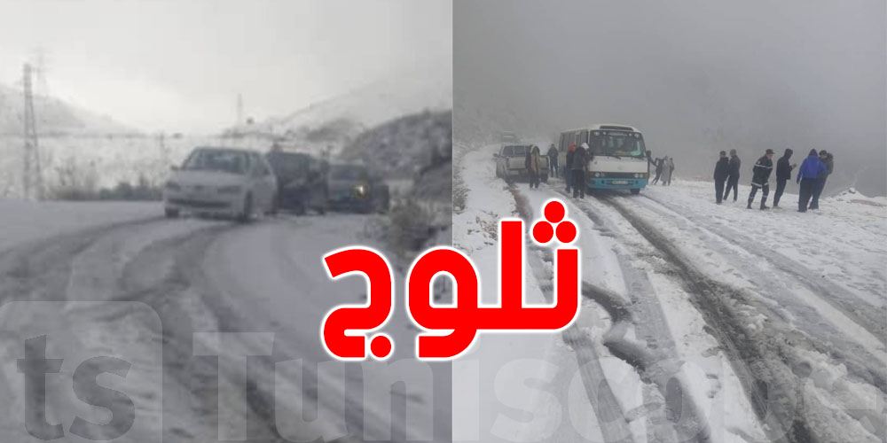 الجزائر: الحماية المدنية تنقذ المواطنين من الثلوج