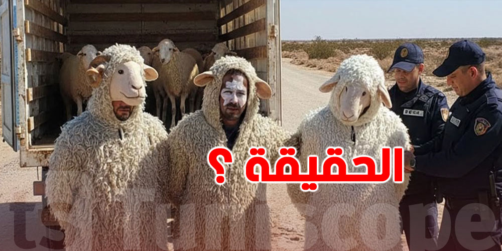 من الجزائرل هربًا الى إسبانيا متنكرين ''بلبسة علالش''..شنوّة حقيقة الحكاية؟