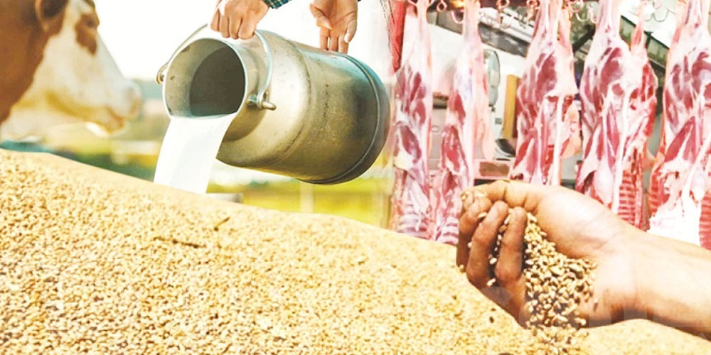 الدولة الوحيدة في العالم الّي توفّر أمنها الغذائي الكلّ وحّدها