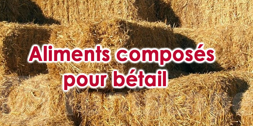 Le ministère du Commerce appelé à revenir sur les augmentations des prix des aliments composés pour bétail