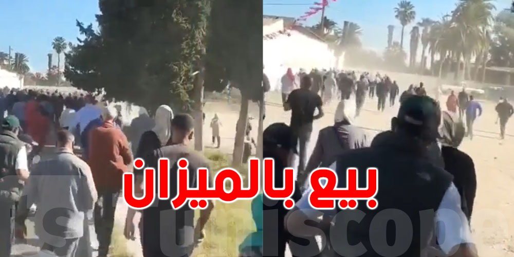زحمة العيد على العلوش: شوفو شنوة صاير في نقاط البيع بالميزان!