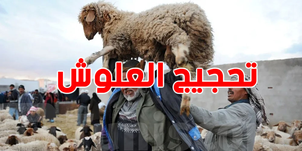 شنّوة معناها ''تحجّج'' العلوش؟