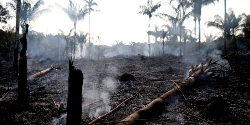 Incendies catastrophiques en Amazonie