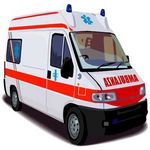 Réception d’un don émirati de 12 ambulances pour la Tunisie