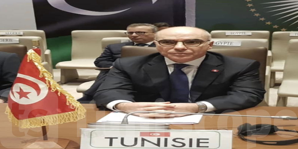 نبيل عمار يجدد موقف تونس الداعم للتسوية السياسية في ليبيا 