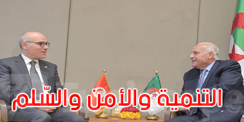 مستجدات الأوضاع في الأراضي الفلسطينية محور لقاء وزير الخارجية بنظيره الجزائري