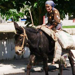 Jendouba : Une femme âgée approvisionnait les terroristes en nourriture sur le dos d’un âne