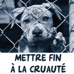 Le 22 Avril : Tous au Bardo pour défendre les droits des animaux !